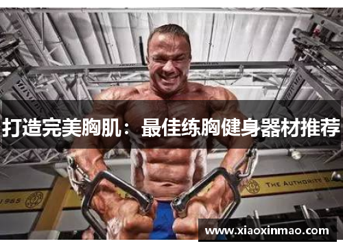 打造完美胸肌：最佳练胸健身器材推荐