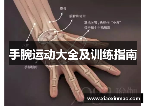 手腕运动大全及训练指南