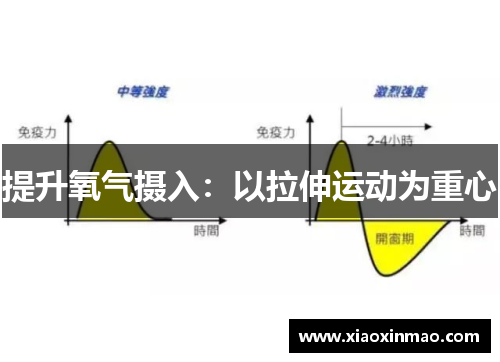 提升氧气摄入：以拉伸运动为重心