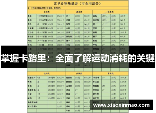 掌握卡路里：全面了解运动消耗的关键