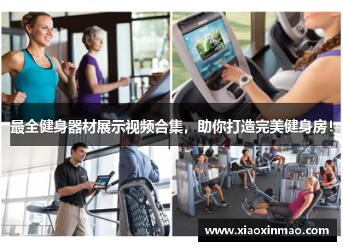 最全健身器材展示视频合集，助你打造完美健身房！