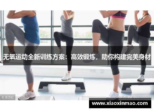 无氧运动全新训练方案：高效锻炼，助你构建完美身材