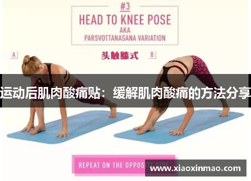 运动后肌肉酸痛贴：缓解肌肉酸痛的方法分享