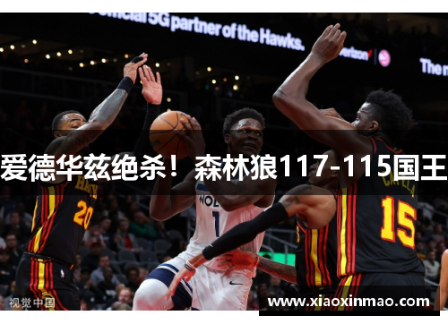 爱德华兹绝杀！森林狼117-115国王